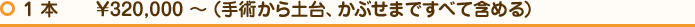 1 本￥320,000 ～（手術から土台、かぶせまですべて含める）
